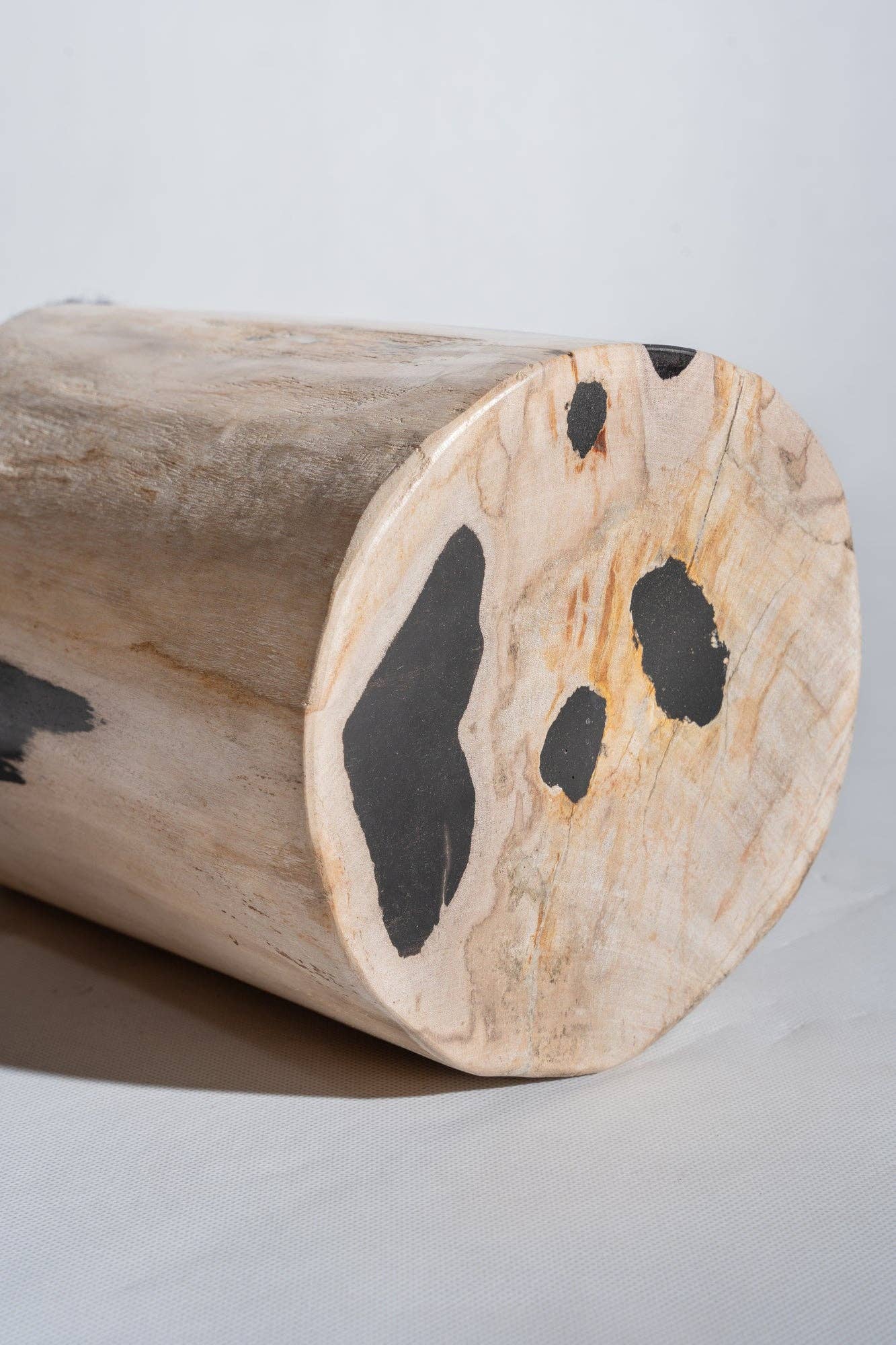 Office Objets - Wholesale Side Table - White petrified wood side table with black spots H:27.5 D:1881