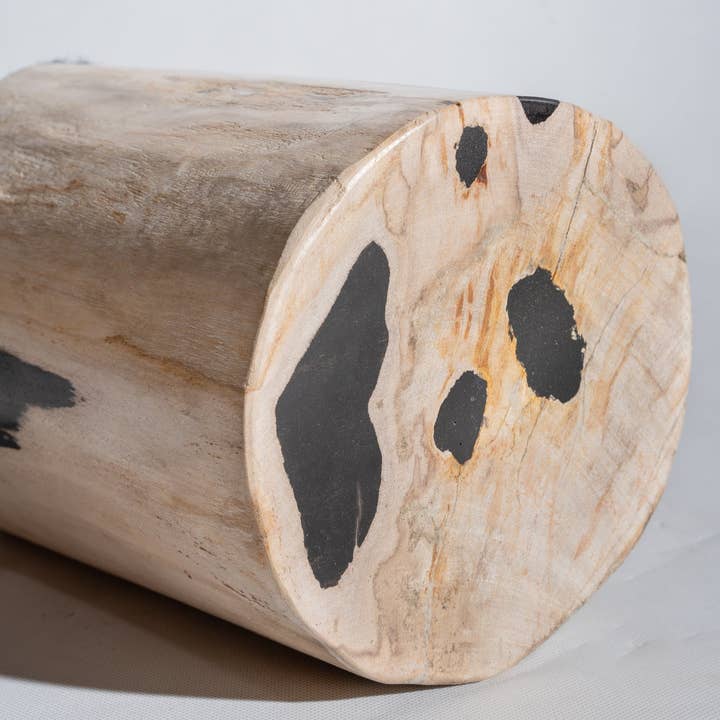 Office Objets - Wholesale Side Table - White petrified wood side table with black spots H:27.5 D:1881