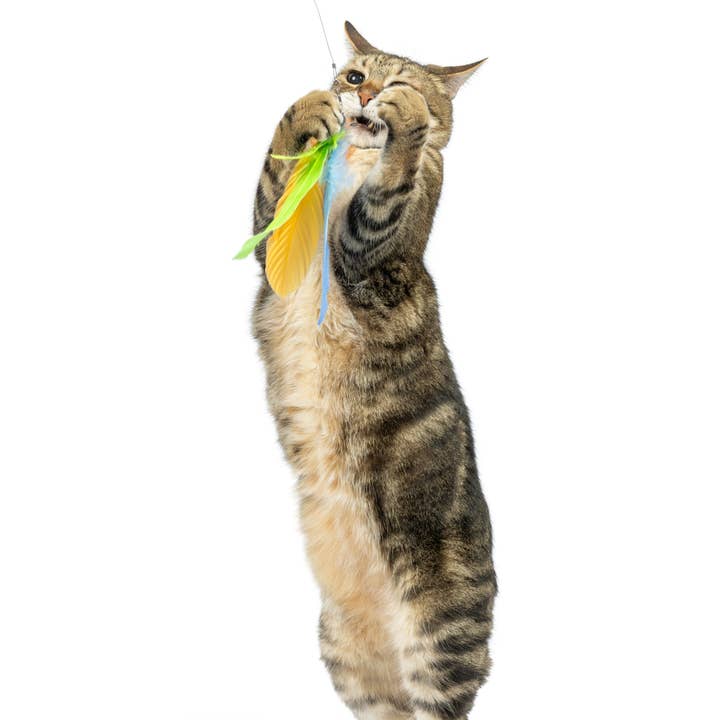 Huxley & Kent – wholesale Pet toy – Cat – Teaser Sour Scratch Wand Cat Toy2