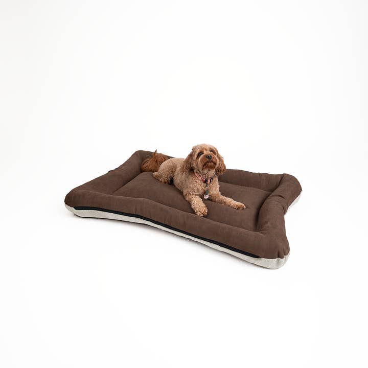 Snoozer Pet Products - Vendita all'ingrosso Letto - Cani - Cuccia per Cani All Day di Snoozer12