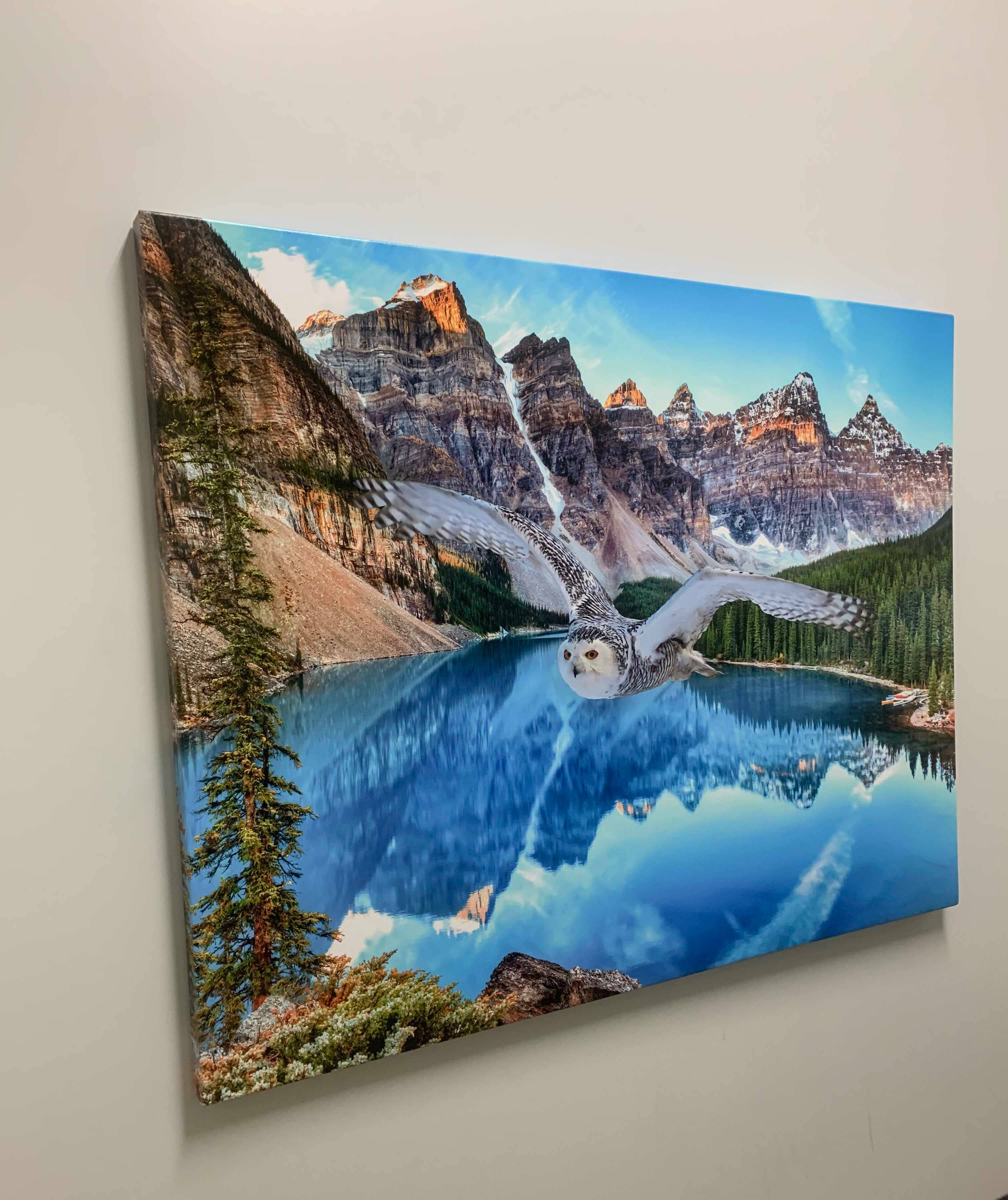 GTA ART - Vendita all'ingrosso Stampa artistica - Arte della fauna selvatica su tela - Gufo delle nevi a Banff - Opera d'arte stampata4
