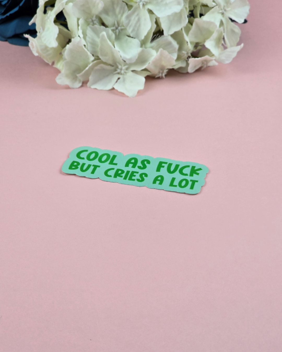 The Grumpy Tortoise - Wholesale Sticker - Waterproof Sticker - Cool as fuck but cries a lot - Sarcastic Sticker - Funny Sticker - Sassy2