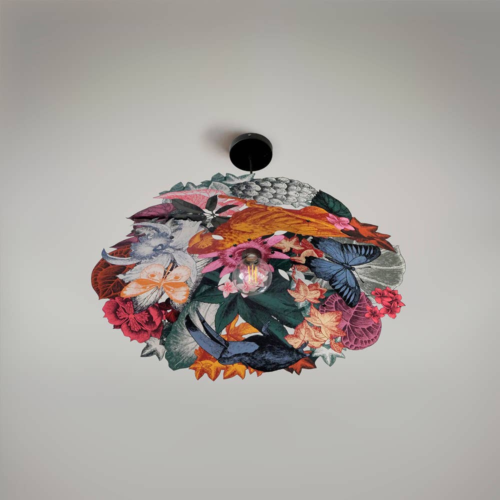 Ibride - Wholesale Chandelier/Hanging Light - Pendant light - BOUCAN 70