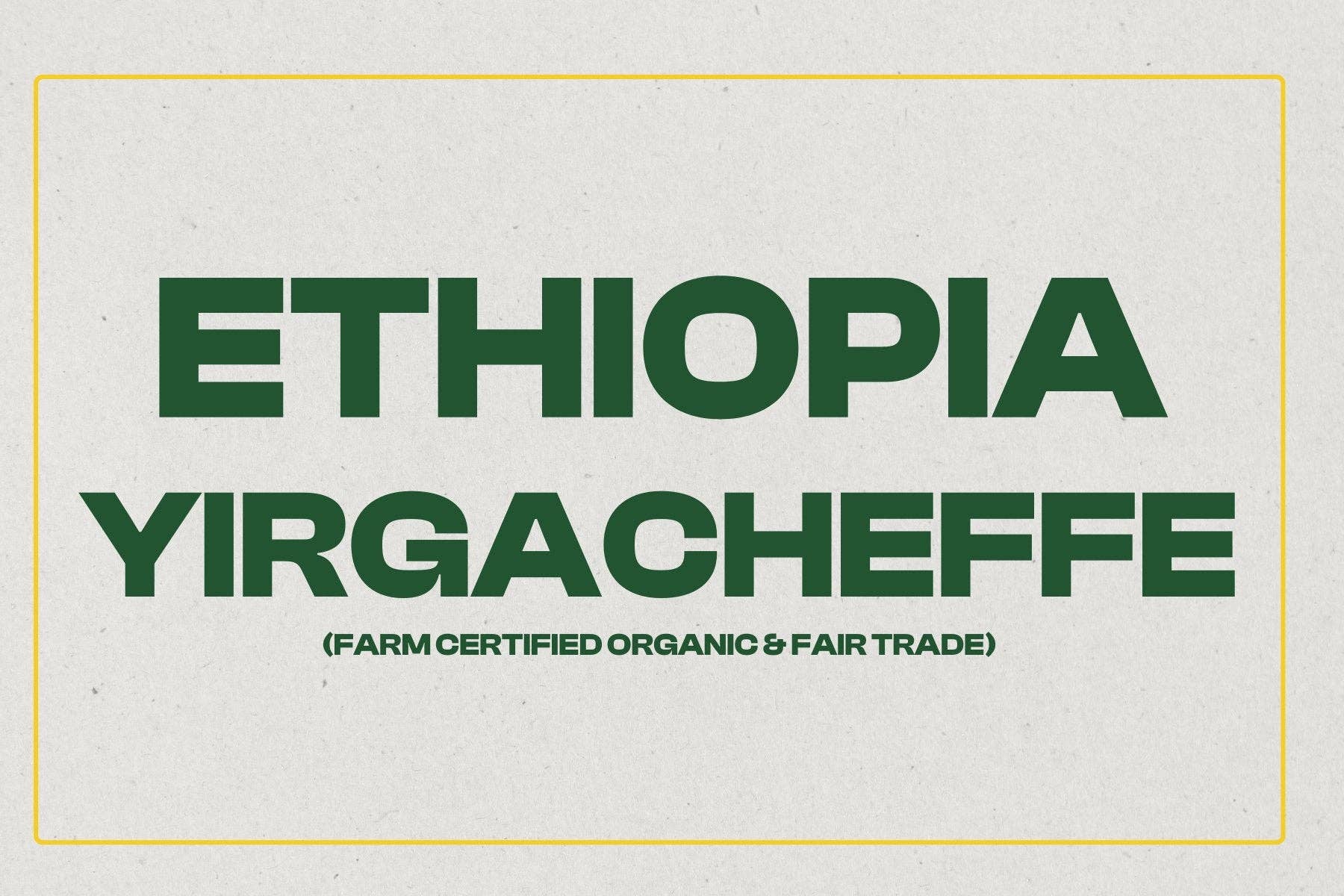 Hidden Grounds Coffee Roasters - Wholesale Coffee Beans - Ethiopia Kembata Natural1