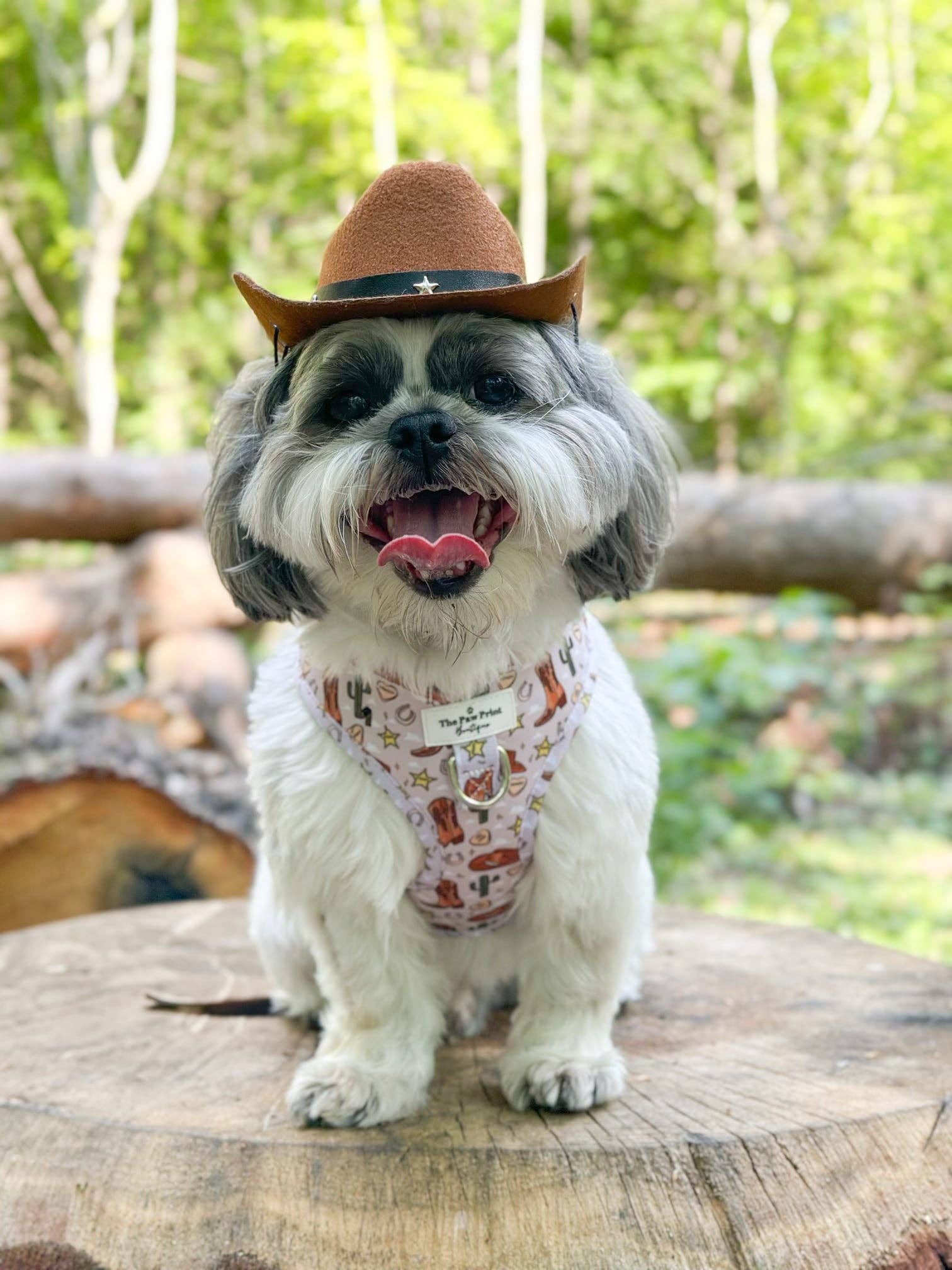 The Paw Print Boutique – wholesale Pet harness – Dog – Howdy Pawtner Adjustable Harness5