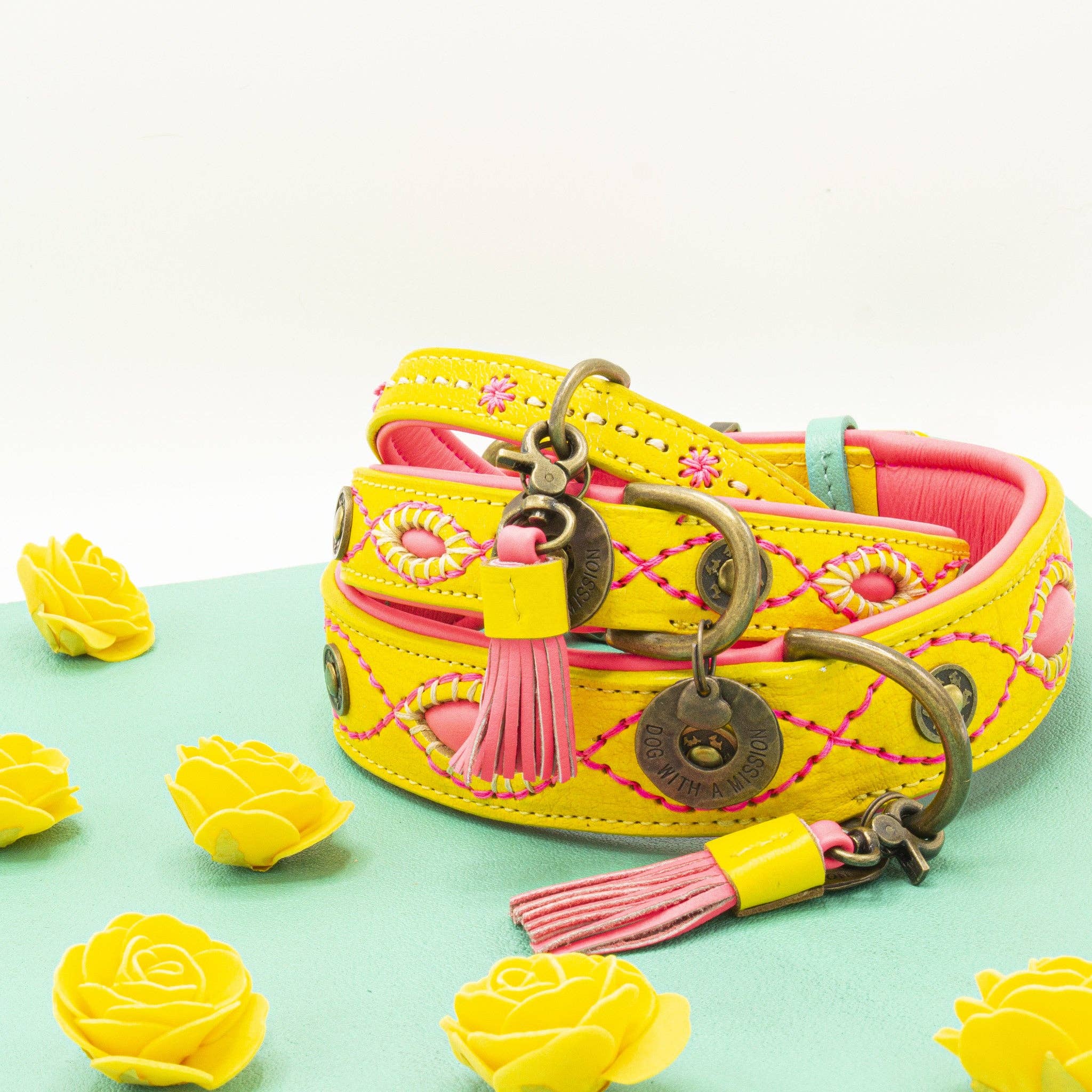 Dog with a Mission - Wholesale Pet Collar - Dog - Collar Urban JESSY10