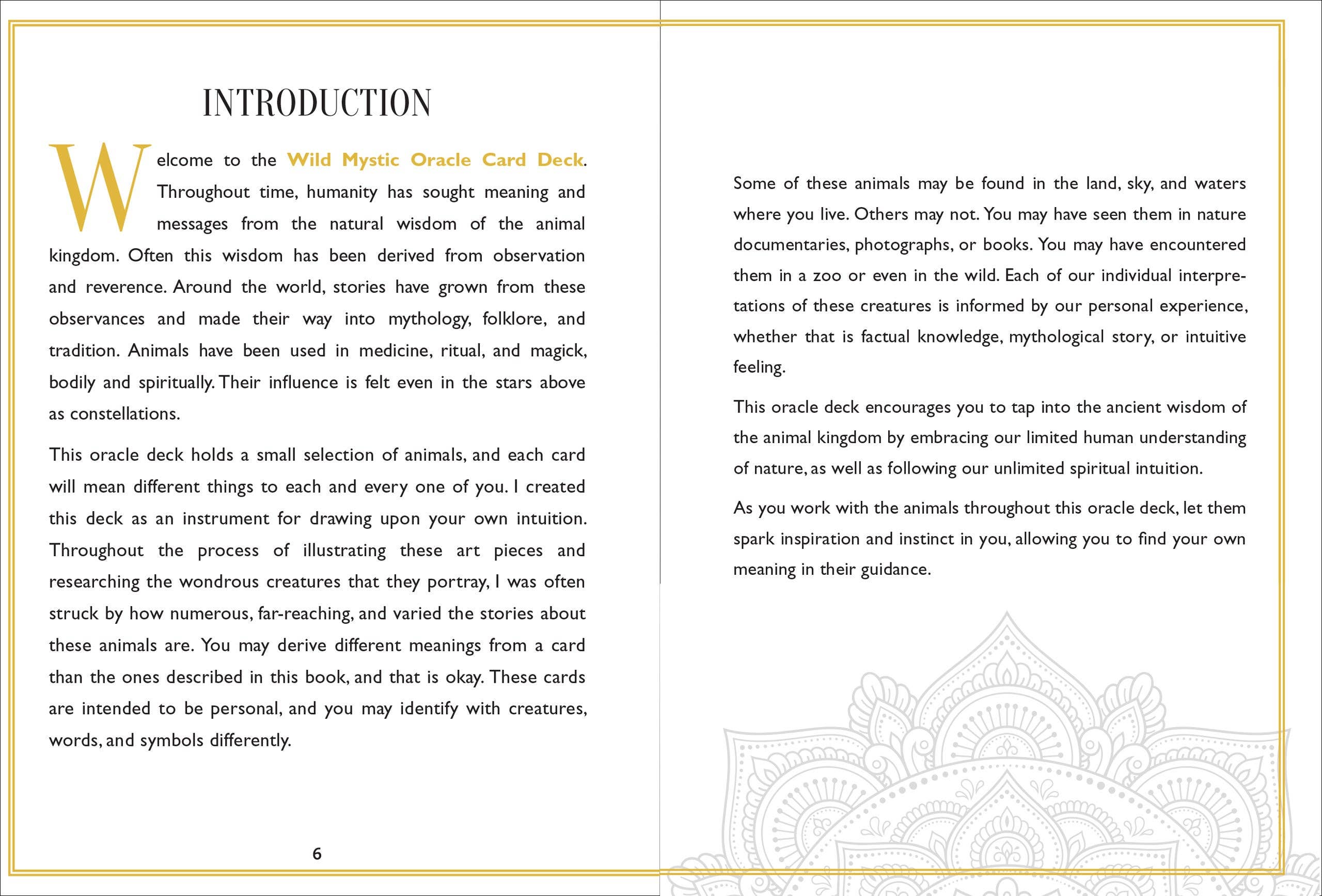 Peter Pauper Press - Vente Carte de tarot/oracles - Deck de cartes Oracle mystique sauvage7