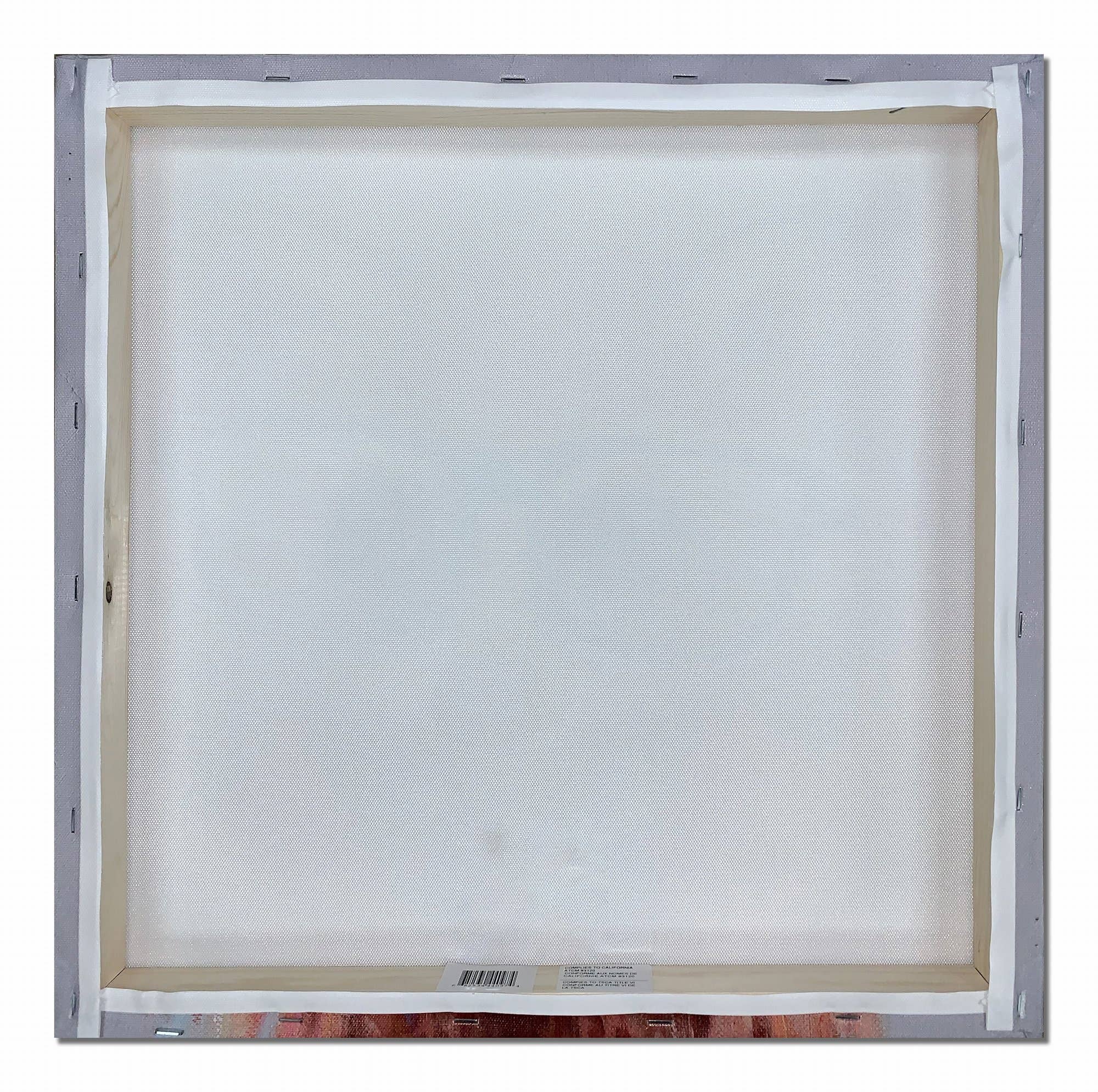 Streamline Art - Wholesale Wall Accent - Pole Chick Tinkerbell Printed 24x24 Canvas Wall Art2