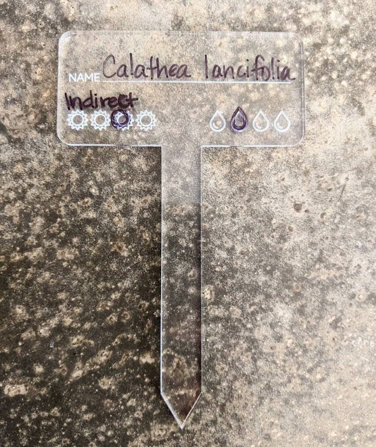 lou+teak – wholesale Garden tool – Plant Care Marker, Reusable Plant Tag, Laser Cut Acrylic2