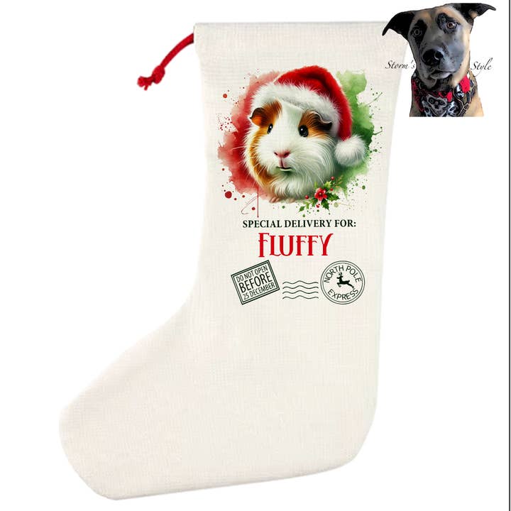 Personalised Pet Stocking Domestic Rat - 8 designs for wholesale by Storms Style