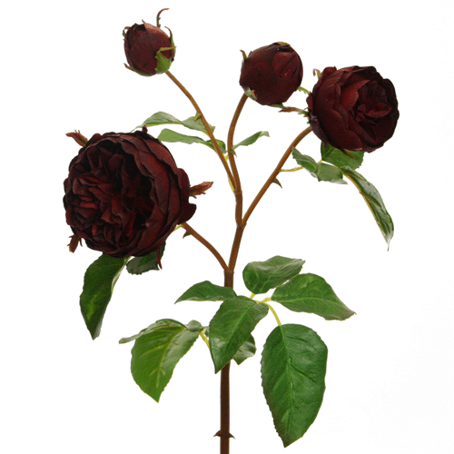 Floratexx - Vendita all'ingrosso Fiori finti - Rosa inglese bordeaux 58 cm, confezione da 40