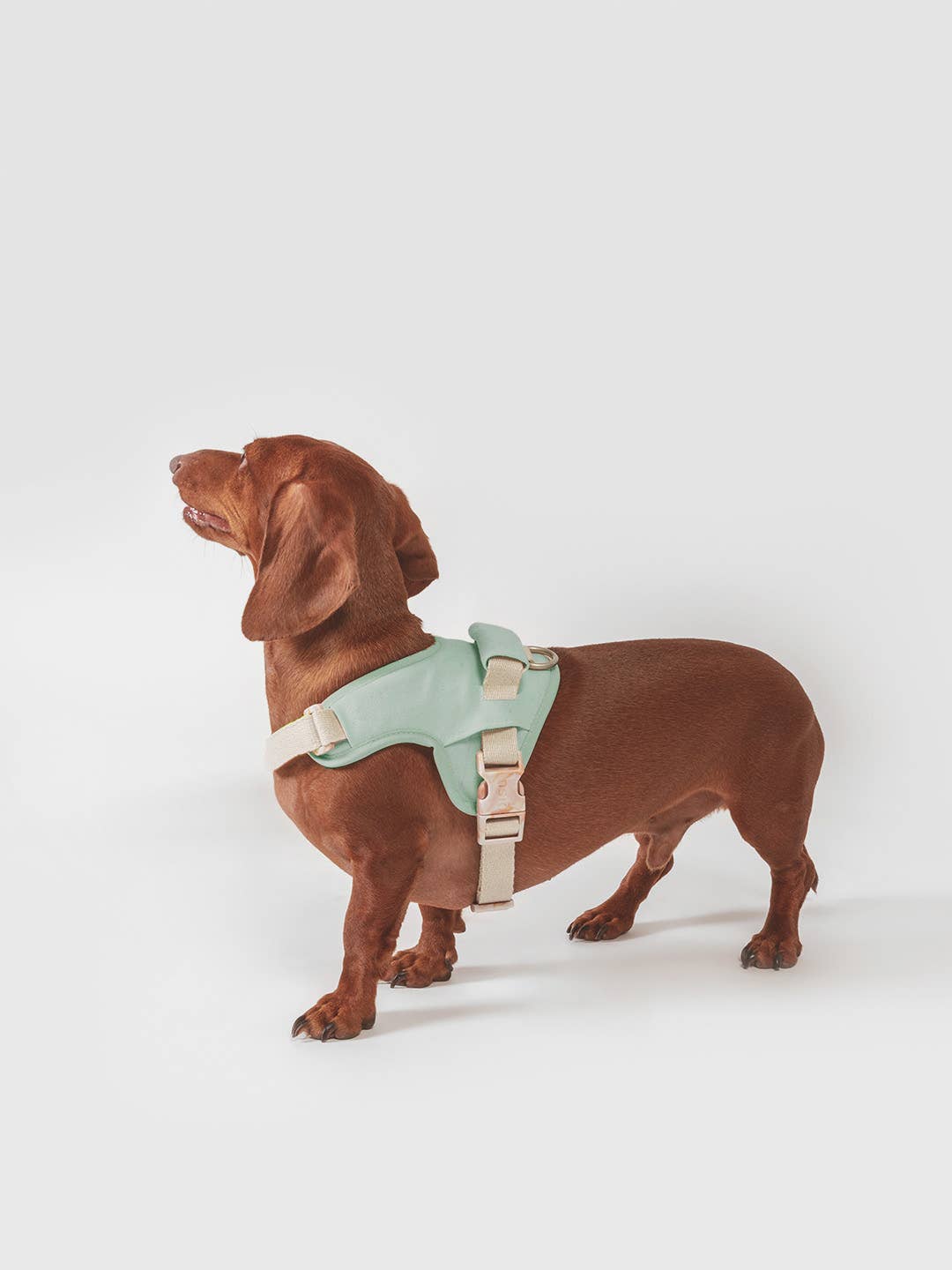 Qisu - Wholesale Pet Harness - Dog - Dog harness | Hug Harness8