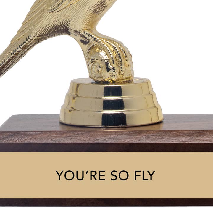 Jenni Earle - Wholesale Decorative figurine - Encouragement Trophy - "YOU'RE SO FLY"1