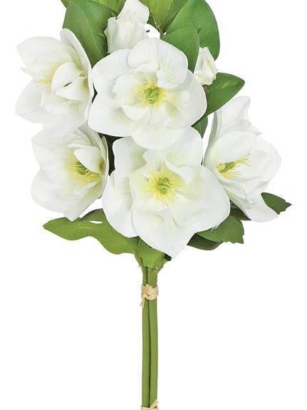 Helleborus Bundle X3 14" White for wholesale by Select Artificials, Inc.