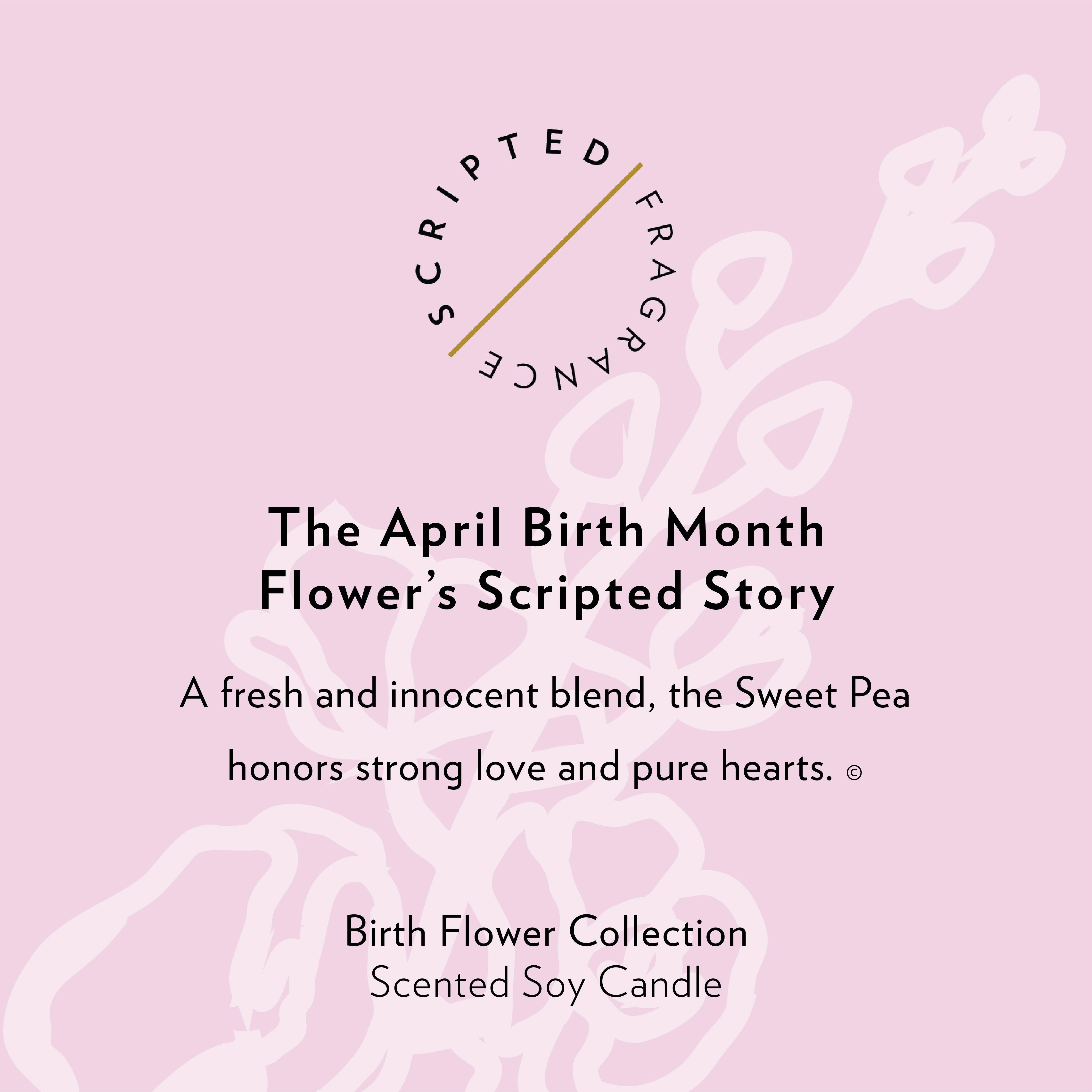 Scripted Fragrance - Wholesale Jar/Filled Candle - April Birth Flower Soy Candle5