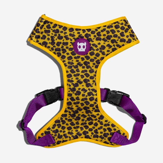 Justerbar striksele Honey for engroshandel hos Hundog - Official zee.dog distributor