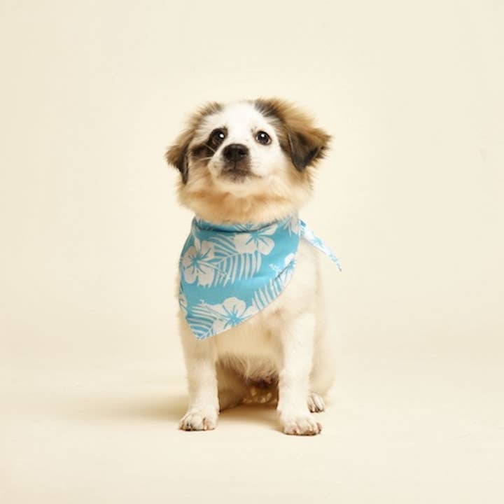 The Paws - Vendita all'ingrosso Bandana - Cani - Bandana per cani Malu1