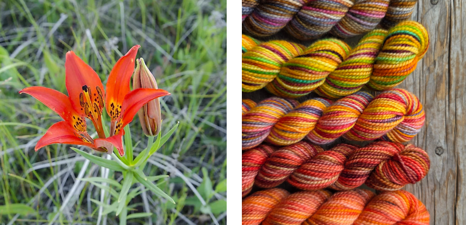 Koigu Wool Designs - Vente Fils à tricoter - Boîtes de Peinture de Fleurs Provinciales (ensembles de mini-écheveaux)27