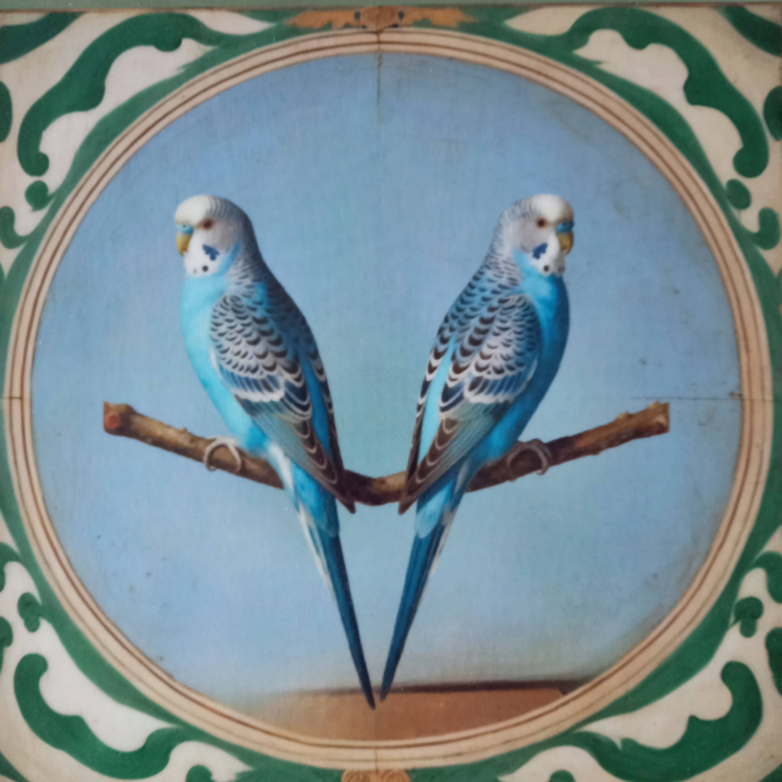 Odalisque Paris - Wholesale Decorative Tray - Green square tray the Parakeets1