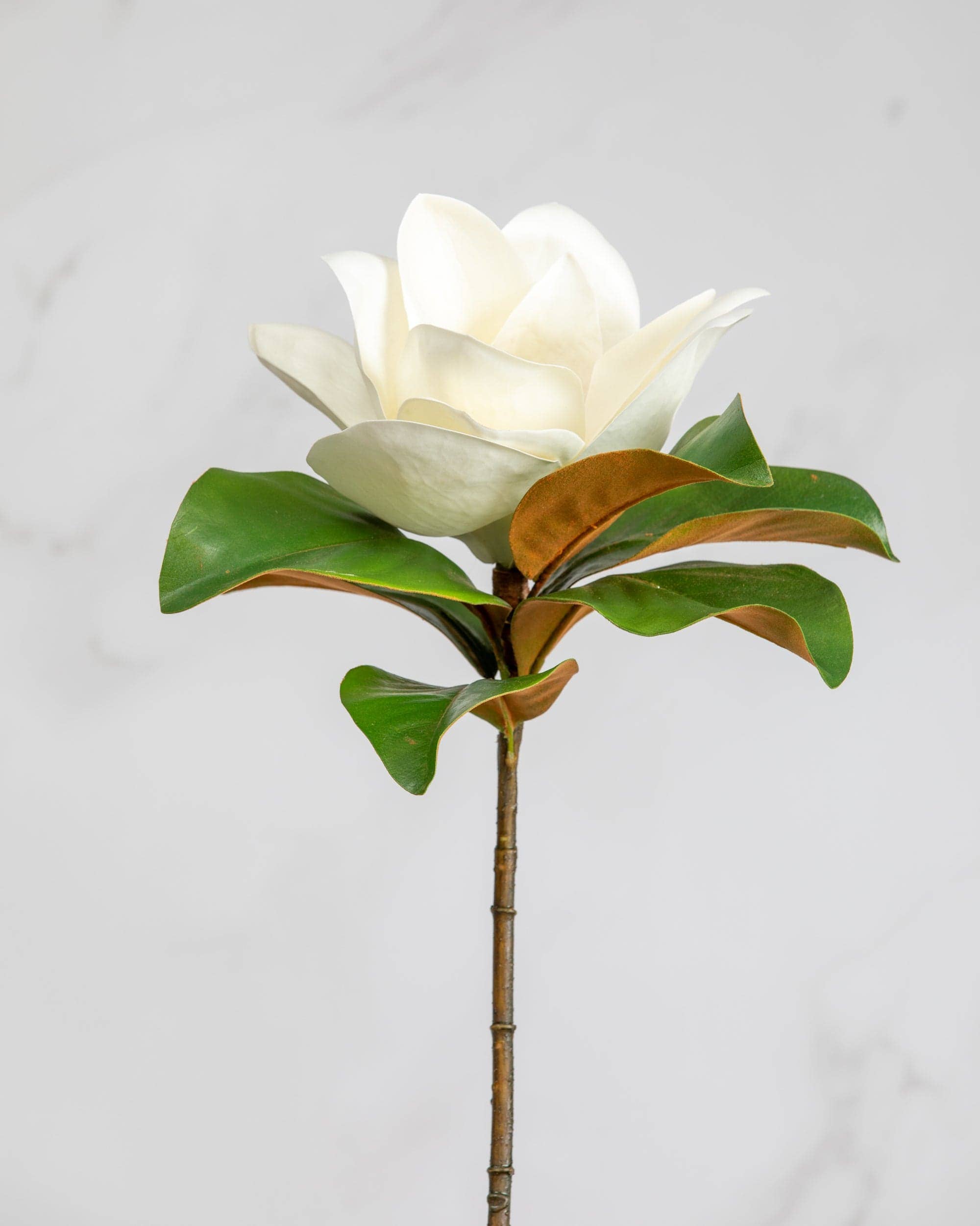 Wholesale White Magnolia 29" for your store Faire
