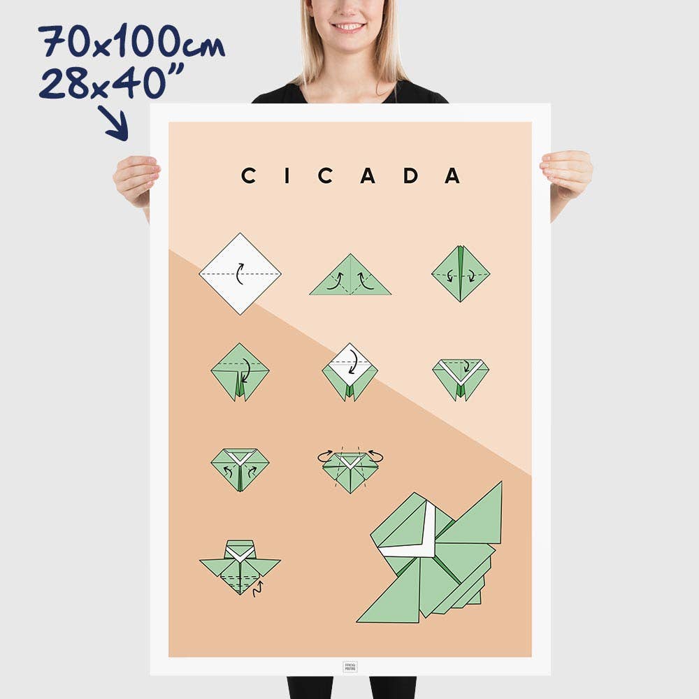 FROG POSTERS - Wholesale Poster - Origami Cicada Poster2