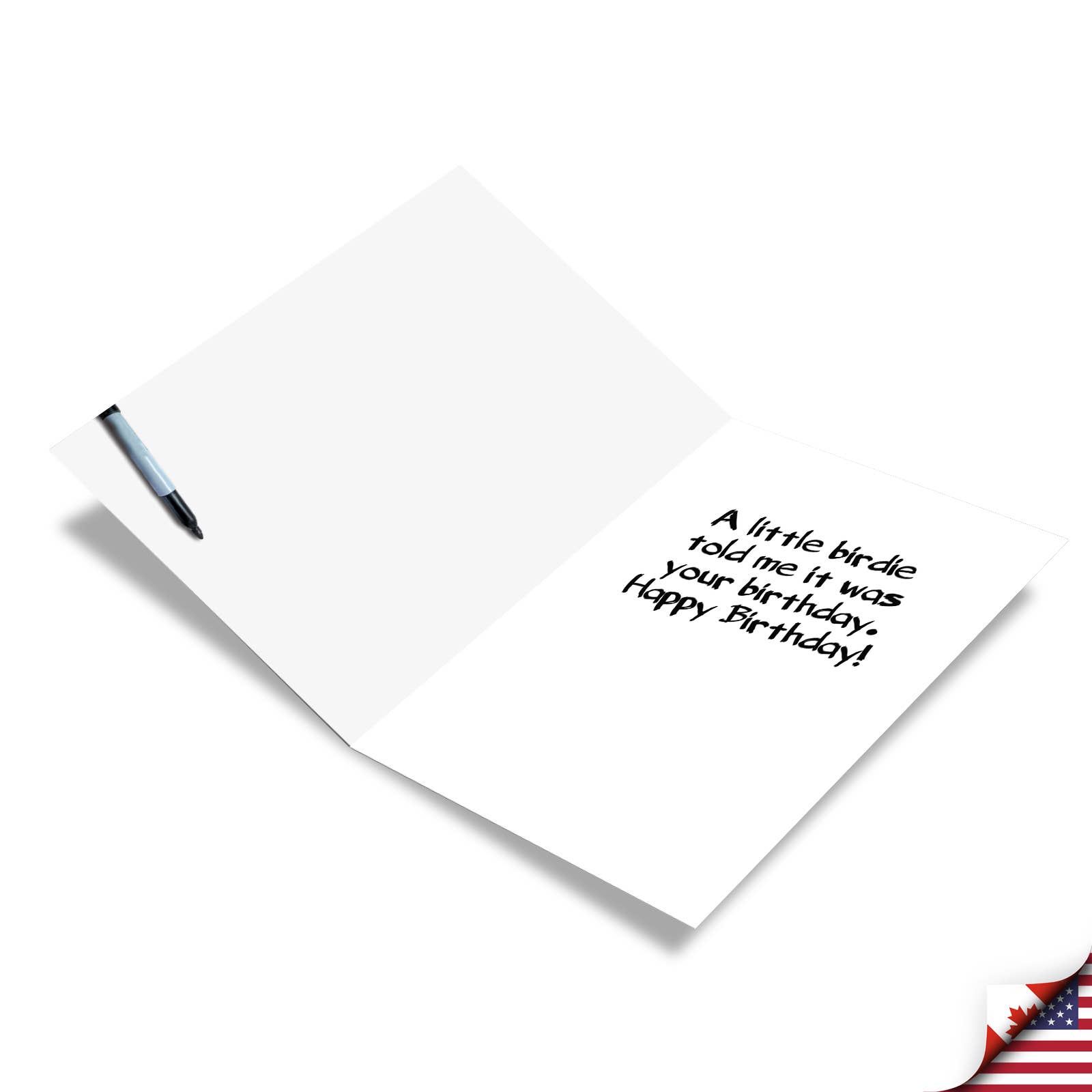 NobleWorks - Vente Cartes d'anniversaire - Carte d'anniversaire - Mangeoire à oiseaux vide1