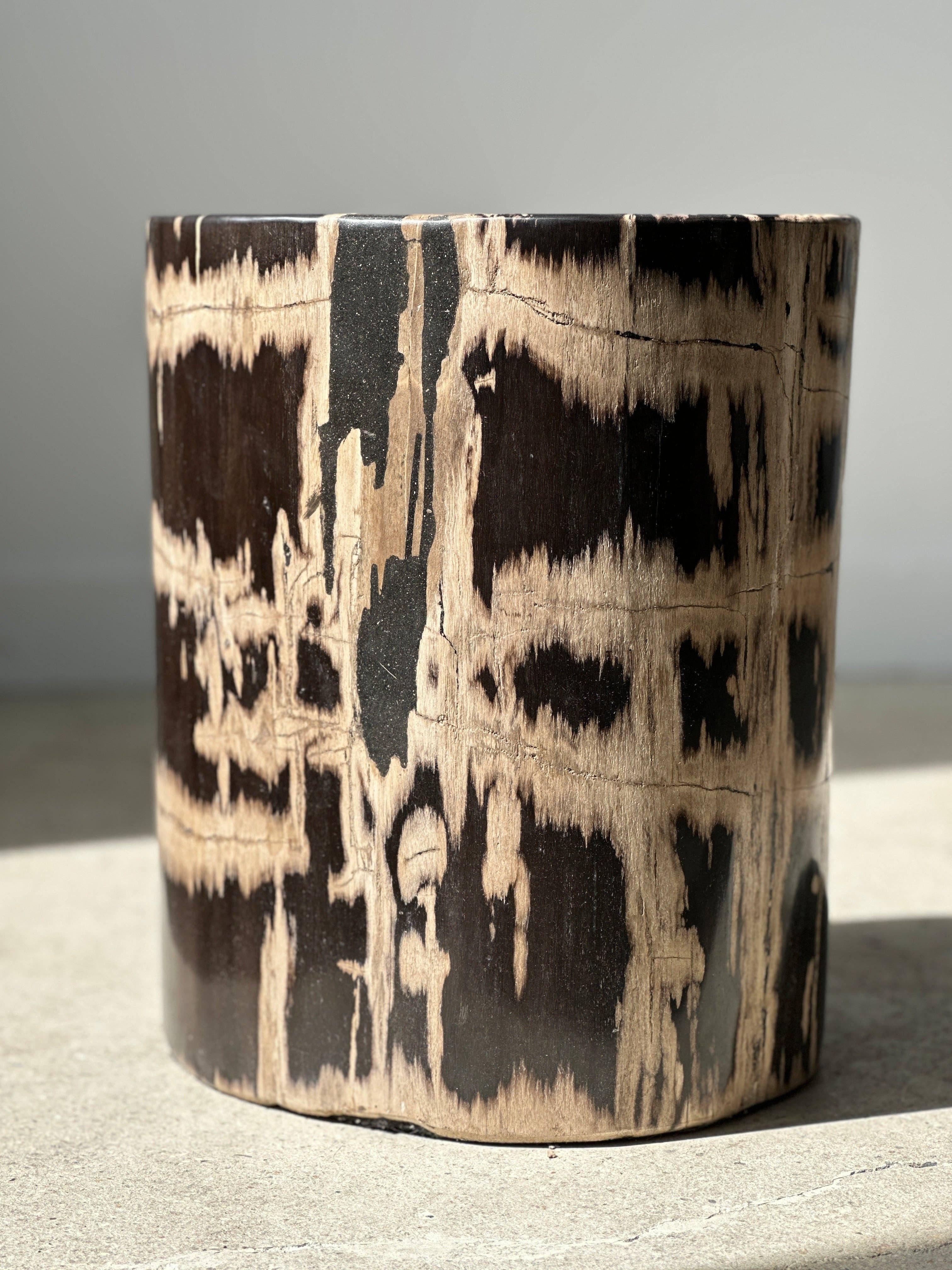 Office Objets - Vente Tables d'appoint - Table d'appoint en bois pétrifié32