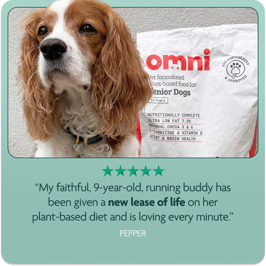 Omni - Wholesale Pet Food - Dog - Golden Senior Years7