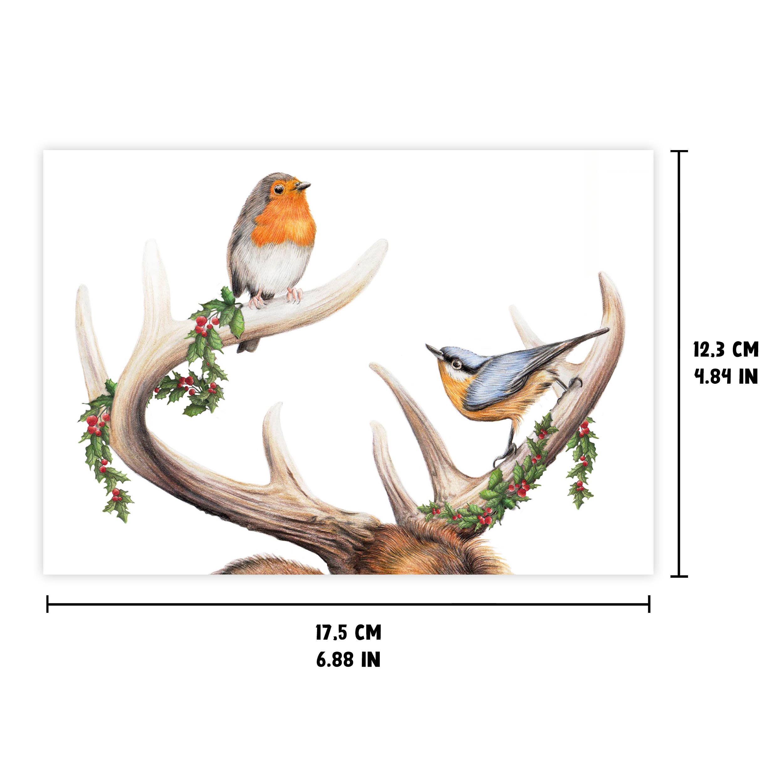 Beast of Paradise - Wholesale Christmas Card - Deer Antler with Birds Christmas Card, Animal Greeting Cards2