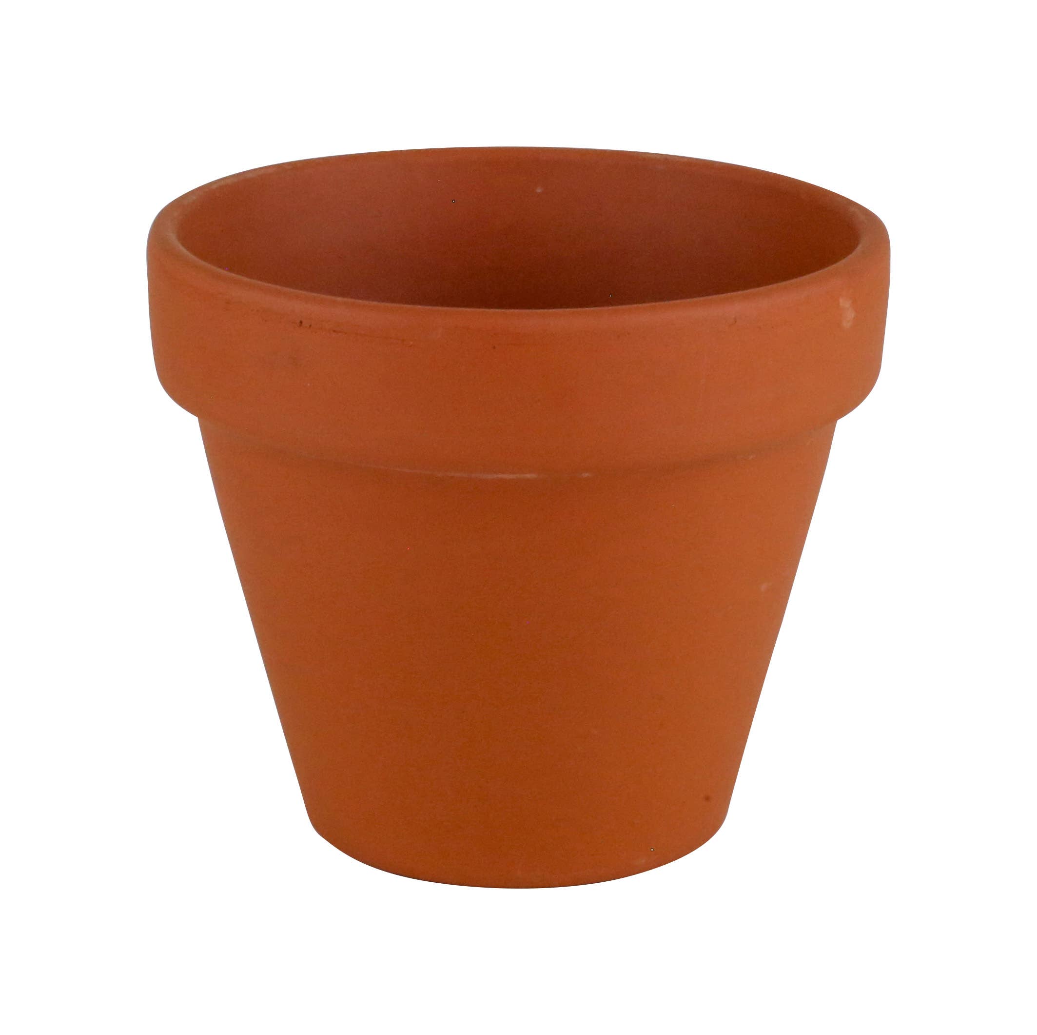 Buzzy Seeds Grow Gifts - Vente Graines de plantes - Kit de Culture en Terre Cuite Rose – Cadeau d'Herbes d'Intérieur2