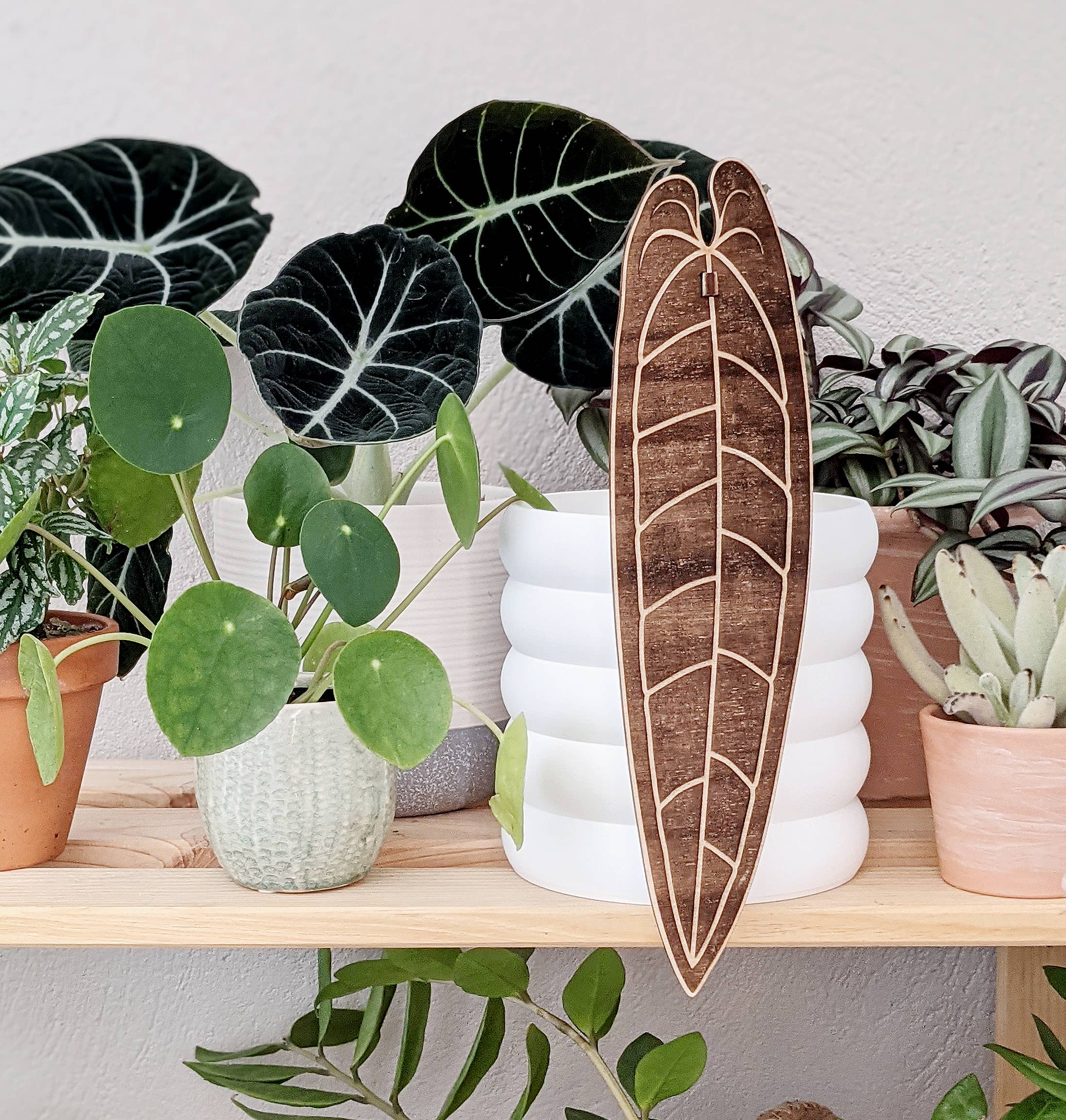 CAMBIFOLIA - Wholesale Plant Pot - Planter 5 rings 13cm 3D7