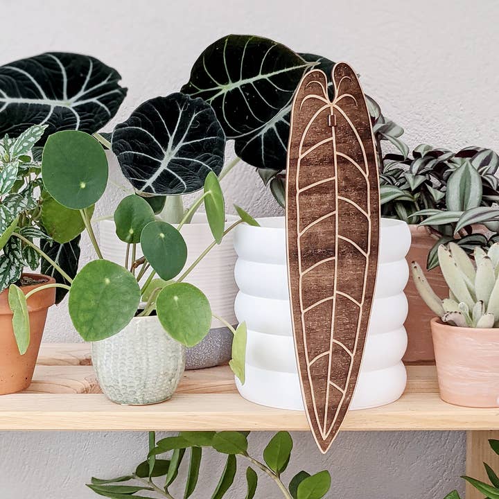 CAMBIFOLIA - Wholesale Plant Pot - Planter 5 rings 13cm 3D7