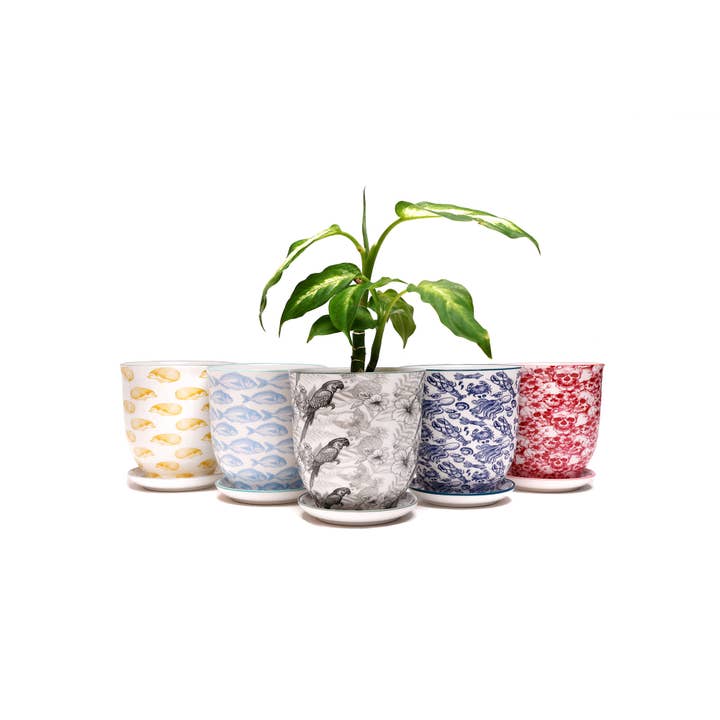 Chive - Wholesale Plant Pot - Liberte Indoor Porcelain Plant Pots