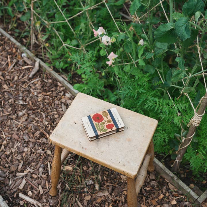 Studio Wald - UK Made - Wholesale DIY craft kit - Pocket Flower Press - Vintage Corn Poppy2