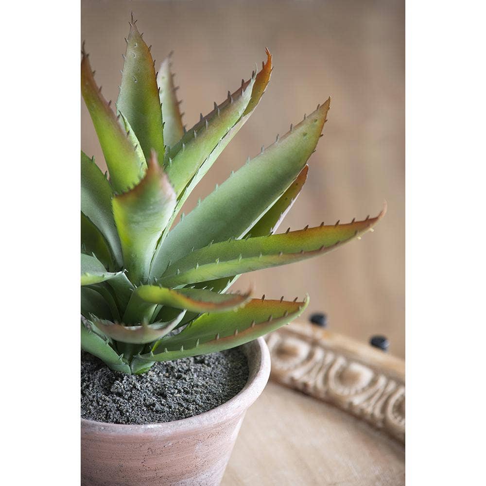 A&B Home Group Inc. – wholesale Artificial plant – Succulent9