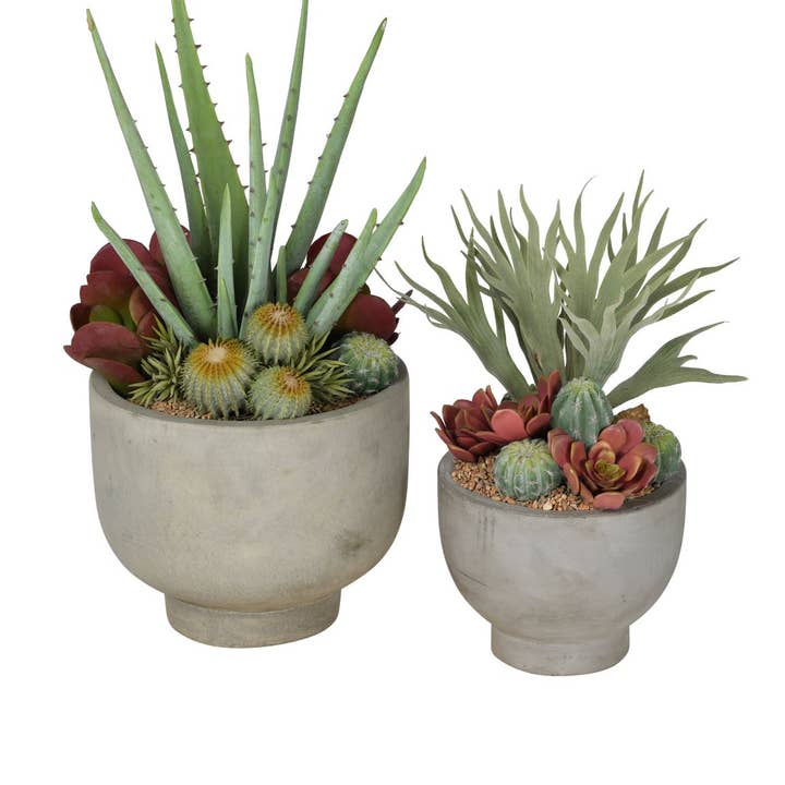 Replica Plants and Decor - Vente Pot - Bols à compote Mack Collection CN10072