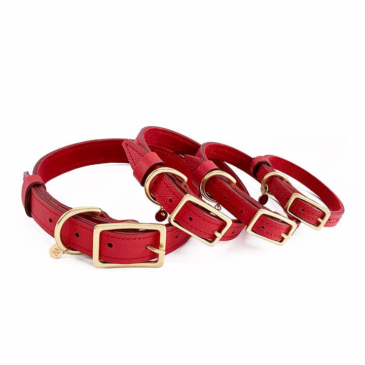 Collier pour chien en cuir rouge pour la vente par Poppy and Payson