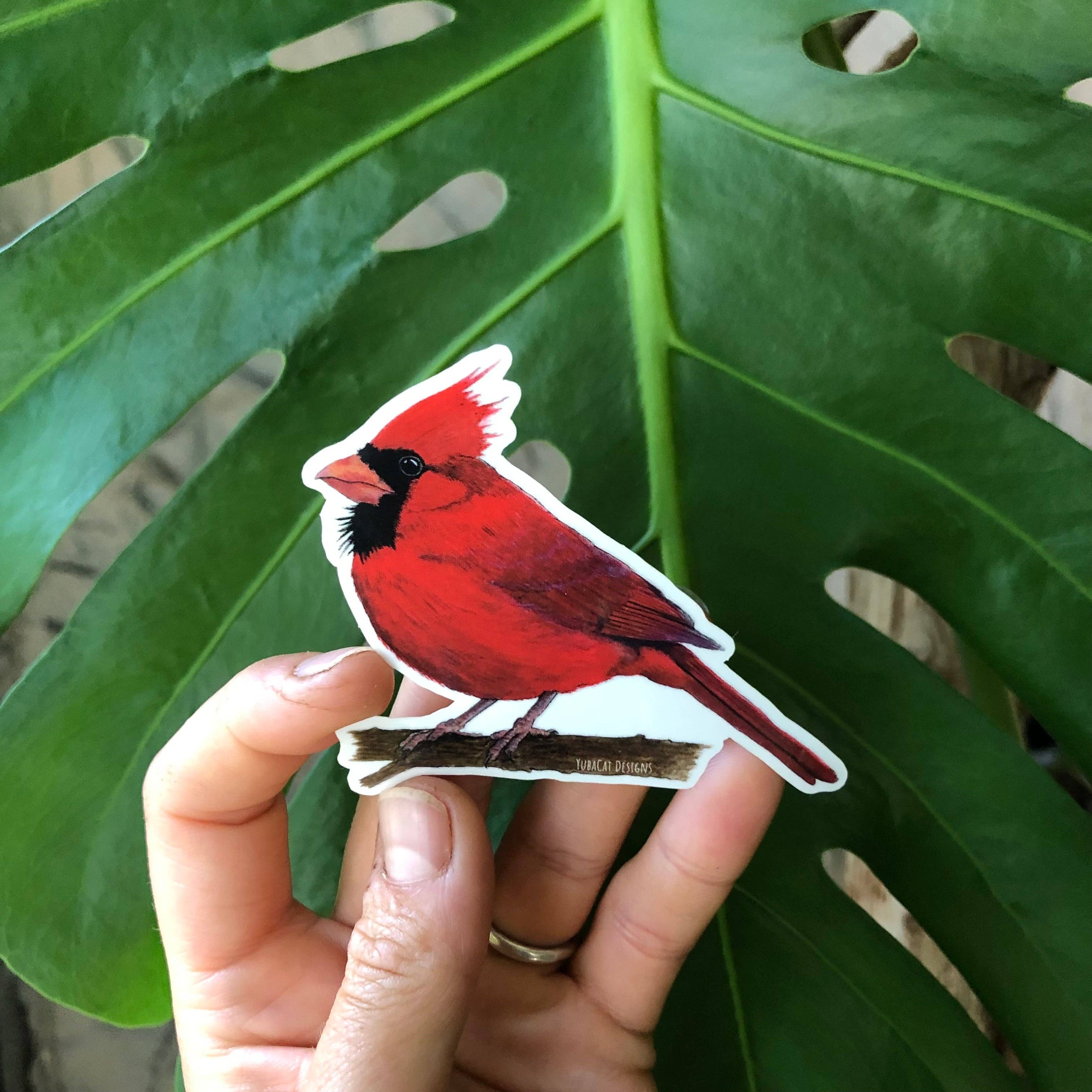YubaCat Designs - Wholesale Sticker - Northern Cardinal sticker3