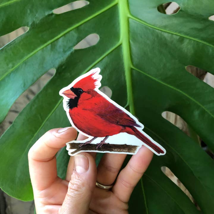 YubaCat Designs - Wholesale Sticker - Northern Cardinal sticker3