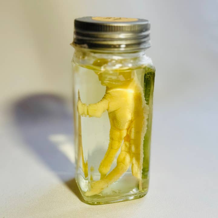 Styx & Stones LLC - Wholesale Decorative Tabletop Object - Chicken Foot Wet Specimen Taxidermy Oddity Curiosity