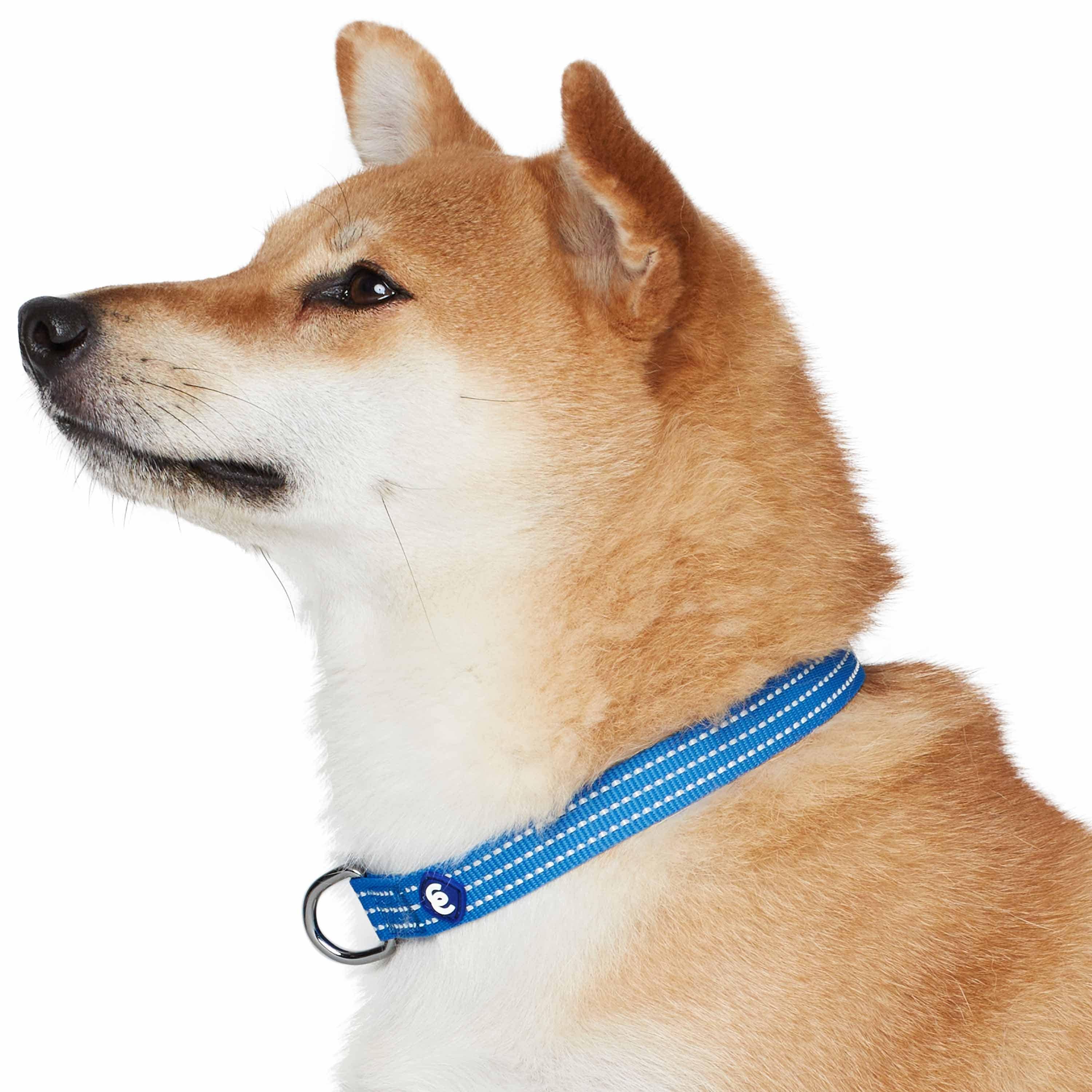 Blueberry Pet - Venta al por mayor Collar - Perros - Collar reflectante para perros Better Basic en 8 colores39
