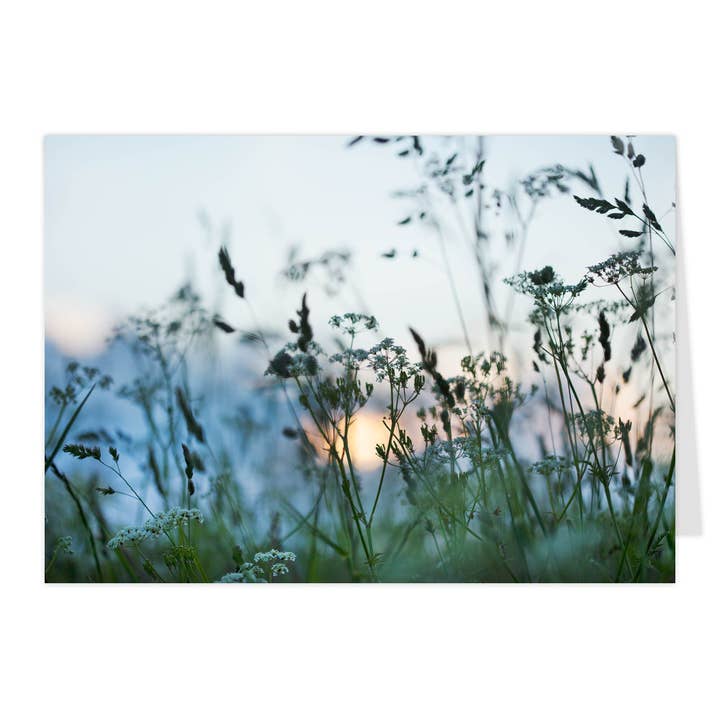 Carte pliable "Crépuscule au bord du champ" pour la vente par paruspaper. nutzfeine papeterie