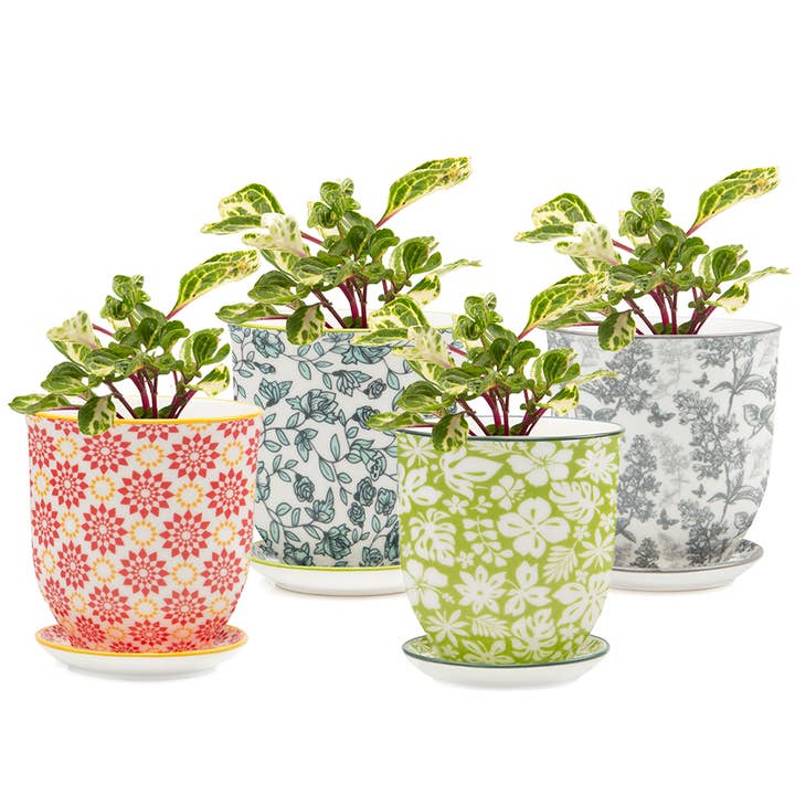 Liberte 3 - Vaso in ceramica con piattino e foro di drenaggio e ulteriori Risultati per vasi fioristi all'ingrosso. Resi gratuiti e termini di pagamento a 60 giorni su Faire in tendenza su Faire.