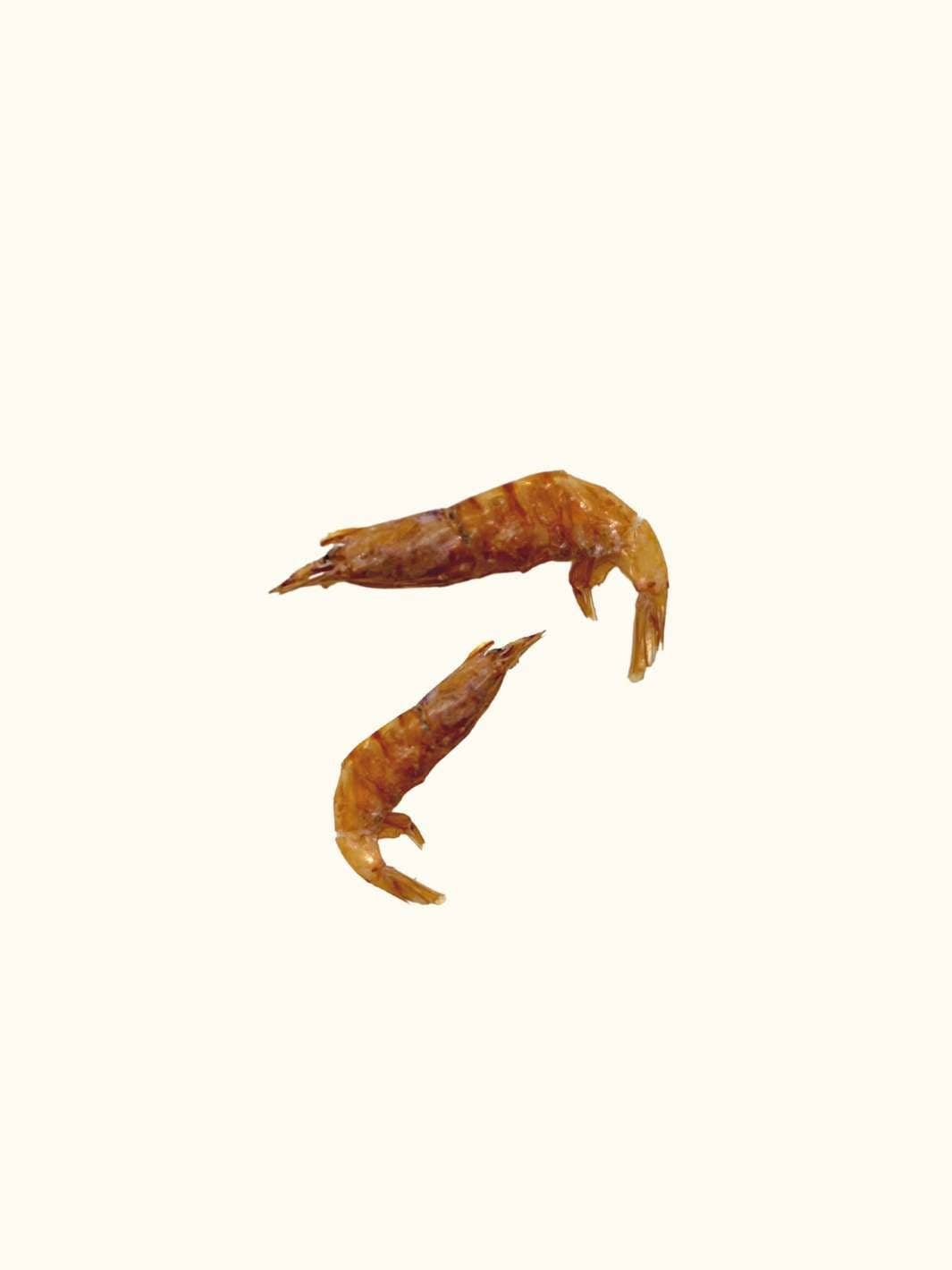Truffe Délice - Wholesale Pet Treats - Dog - Shrimps3