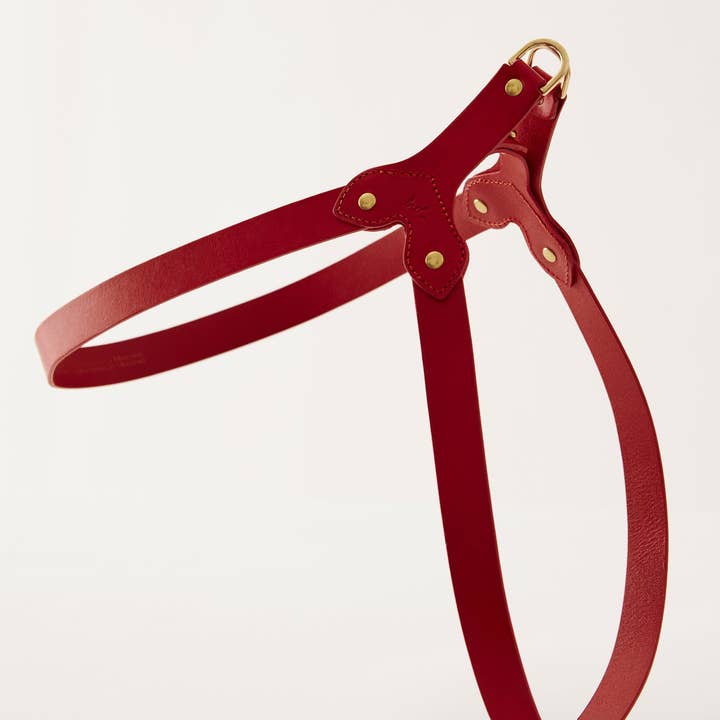 Muso & Co – Großhandel Haustiergeschirr – Hund – Klassisches Geschirr aus pflanzlich gegerbtem Leder46