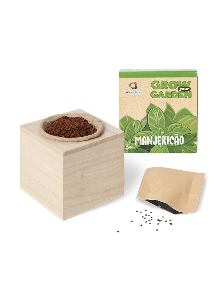 Coltiva il tuo giardino - Basilico (3+) per la vendita all'ingrosso da parte di ambarscience