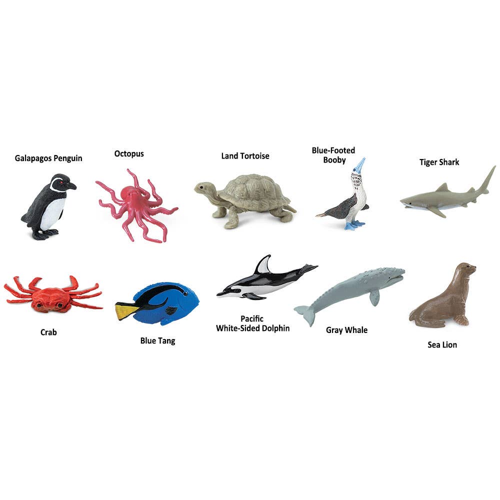 Safari Ltd. - Wholesale Toy Set - Kids - Pacific TOOB® - 1003082