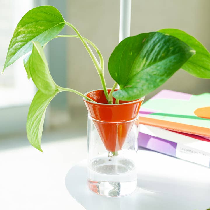 ORANGE CONE HYDROPONICS VASE HF for wholesale by Helio Ferretti