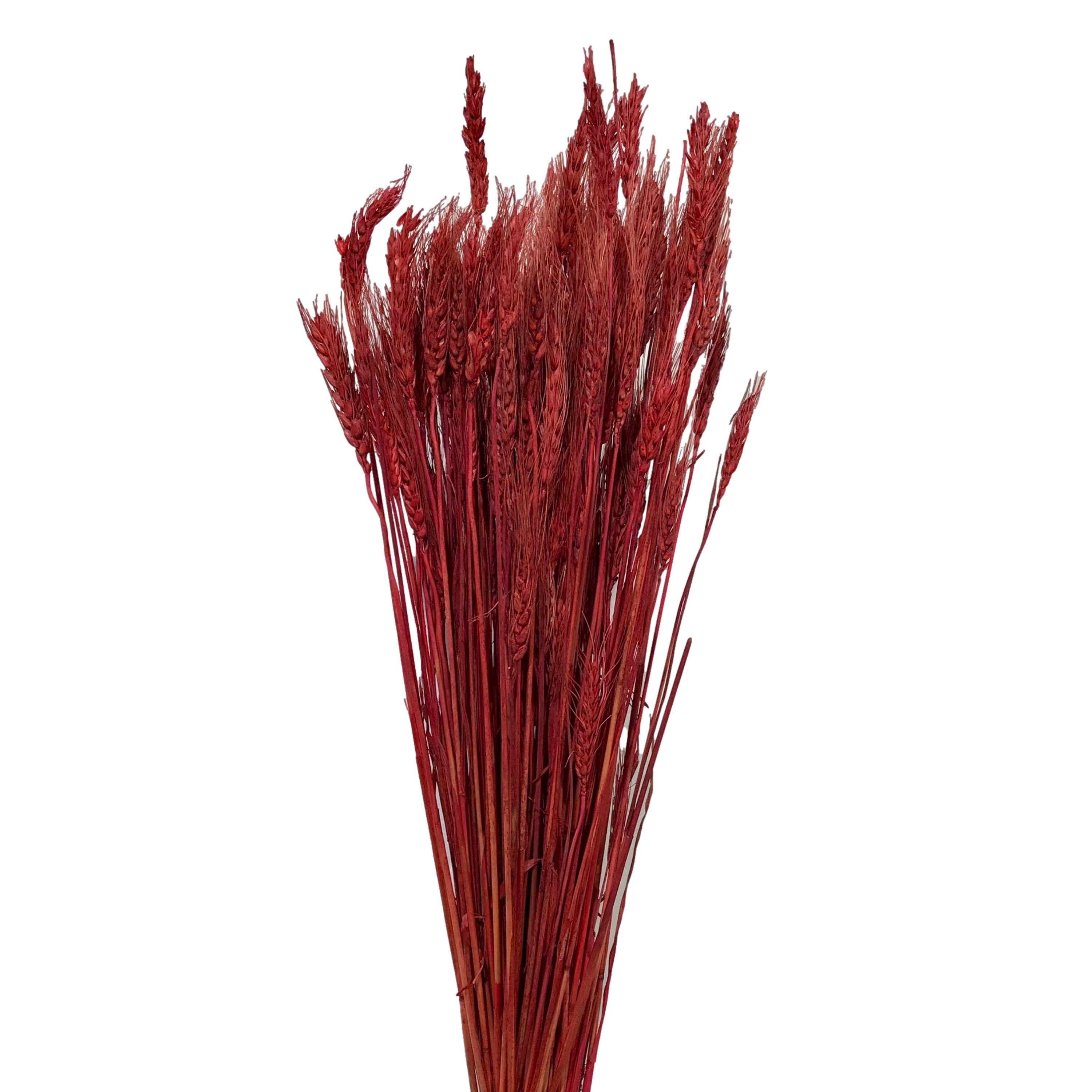 Wilco Home - Wholesale Dried/Pressed Flowers - Natural Wheat Bundle Bouquet0