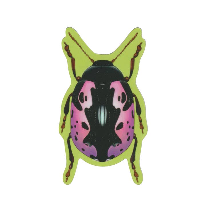 BEEDLE! sticker voor wholesale door RAGS AF